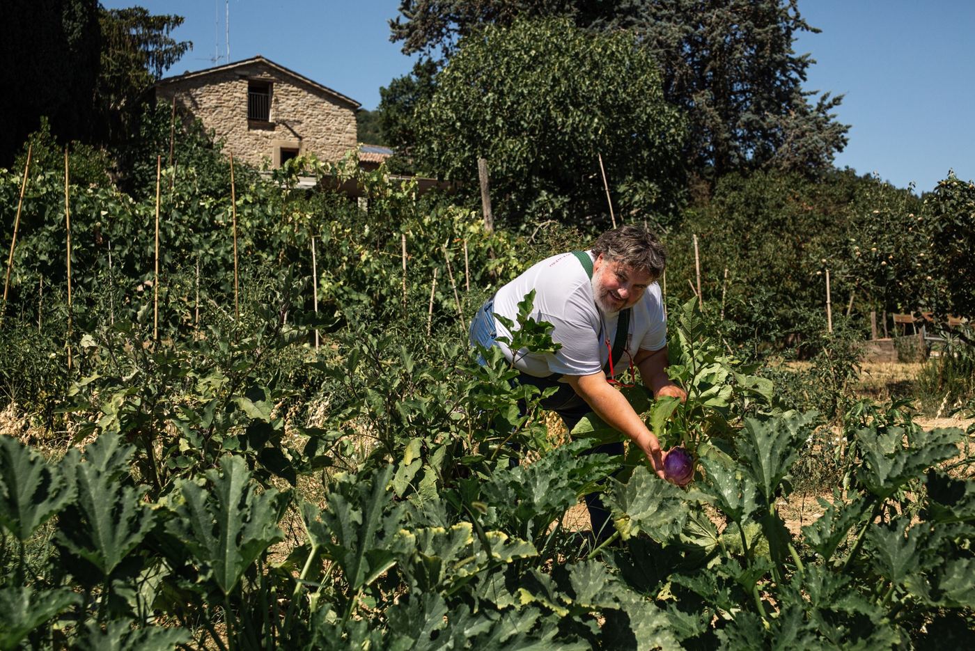 Un uomo raccoglie ortaggi nell'orto