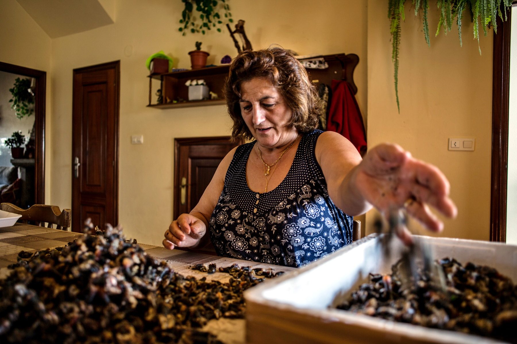 Donna pulisce i percebe raccolti
